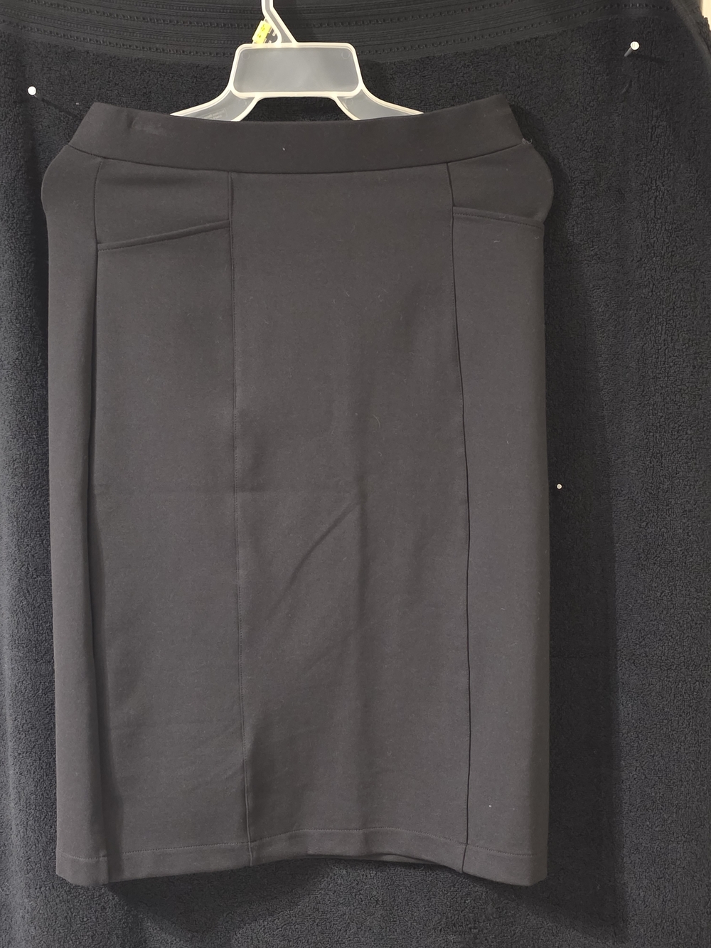 Express Black Pencil Skirt - Sleek Office Staple